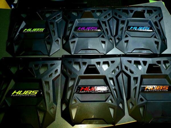 Logo Snow Flap