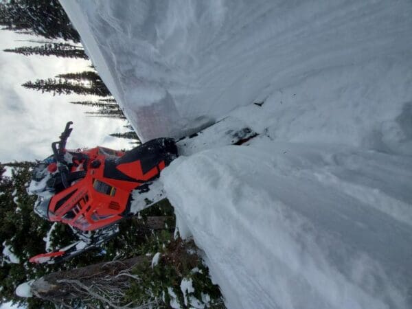 Skid Plate - Image 2